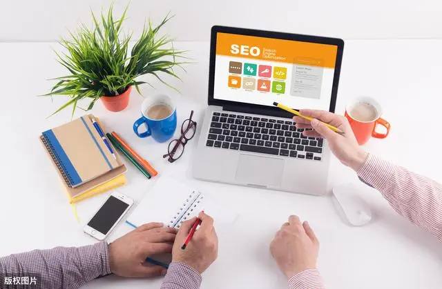 第一次见生理性喜欢主人的小猫咪